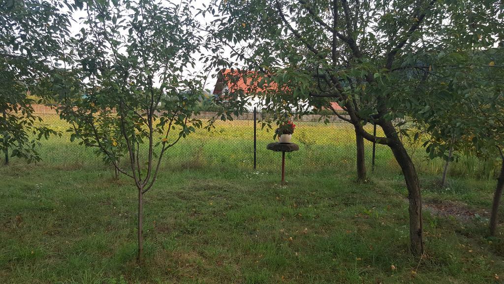 Casa Cristina Villa Совата Екстериор снимка